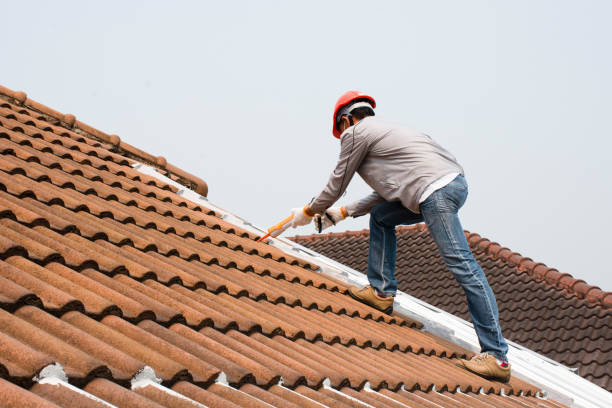 Best Asphalt Shingles Roofing  in Ponder, TX